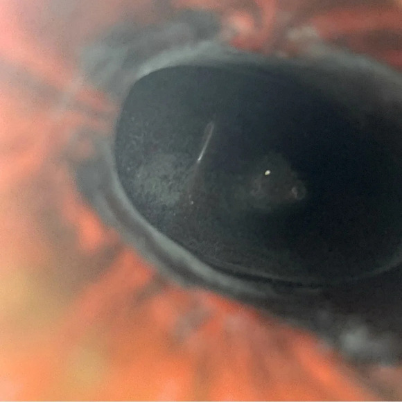 Vintage Brown Red Pottery Mini Boot Calgary Alta - Picture 9 of 11